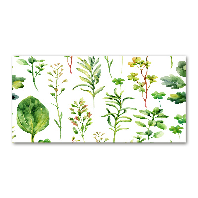 Glass picture wall art Herbs and weeds