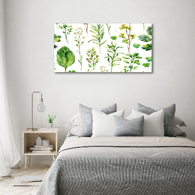 Glass picture wall art Herbs and weeds