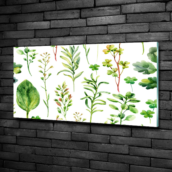 Glass picture wall art Herbs and weeds