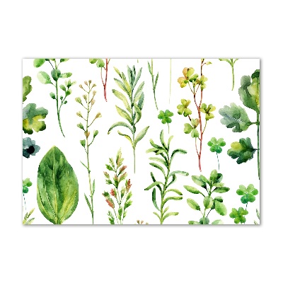 Glass picture wall art Herbs and weeds