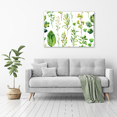 Glass picture wall art Herbs and weeds