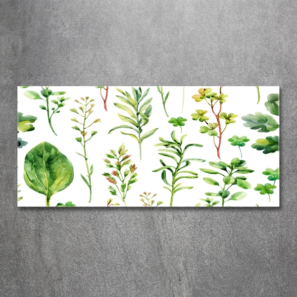 Glass picture wall art Herbs and weeds