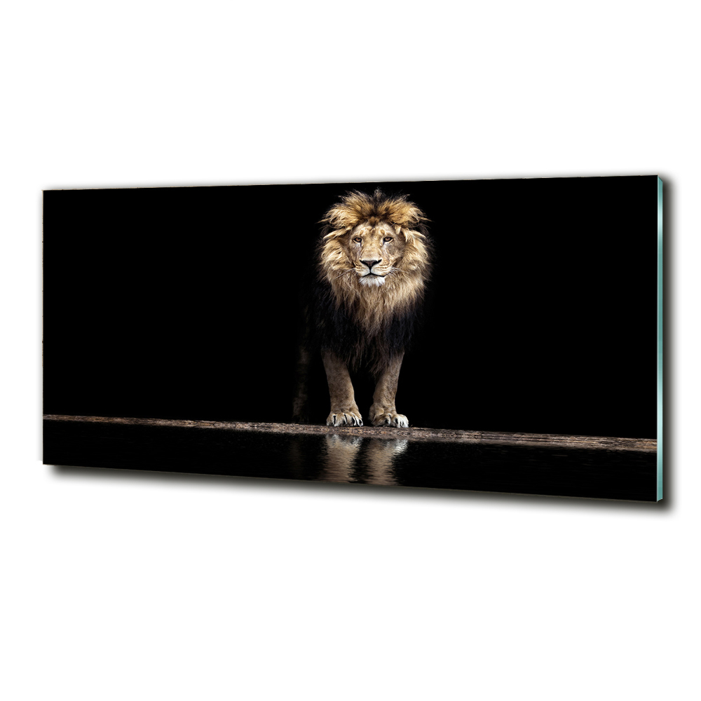 Glass wall art Portrait of a lion