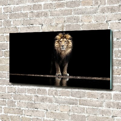 Glass wall art Portrait of a lion