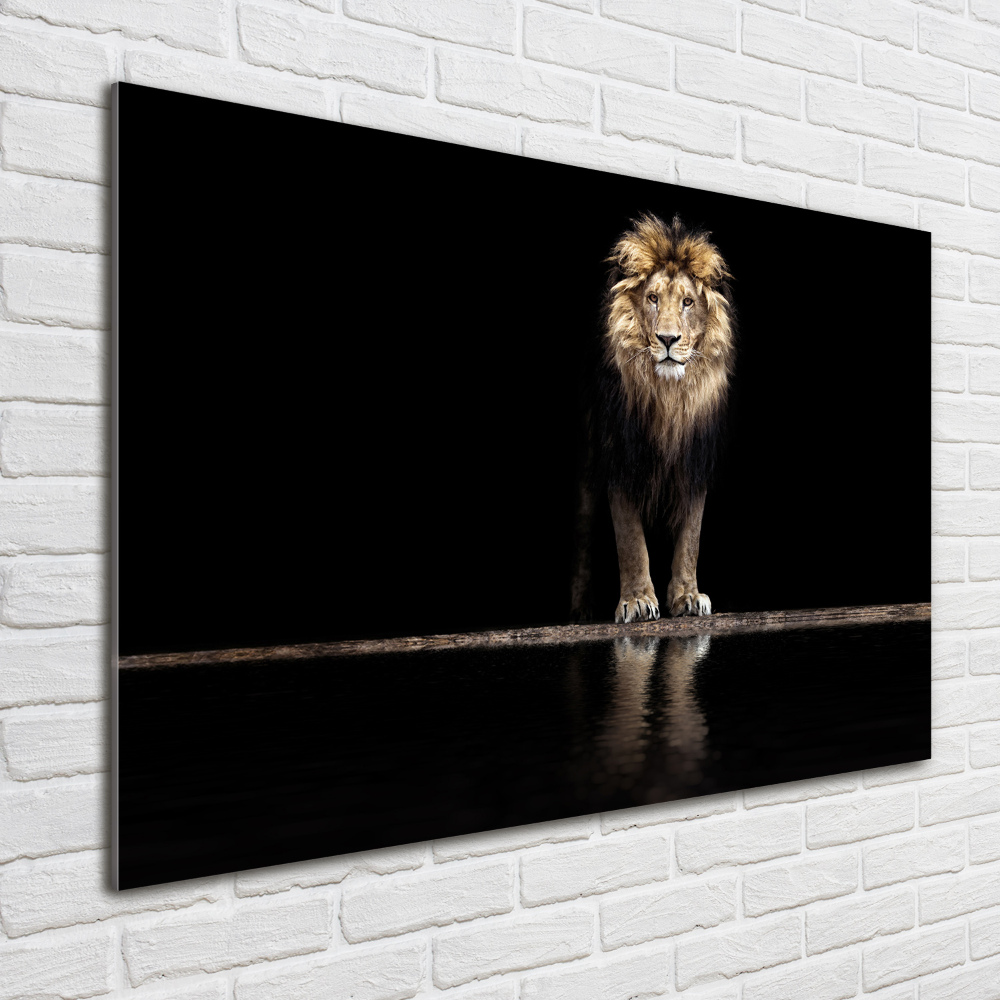 Glass wall art Portrait of a lion