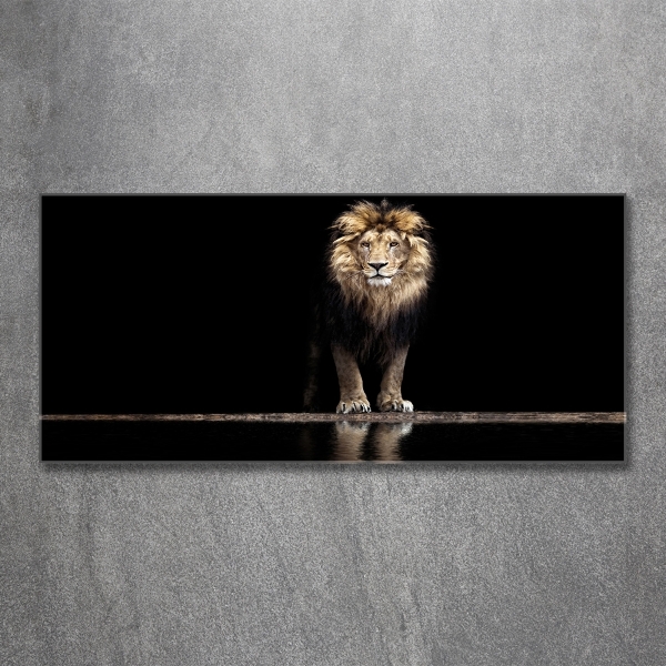 Glass wall art Portrait of a lion