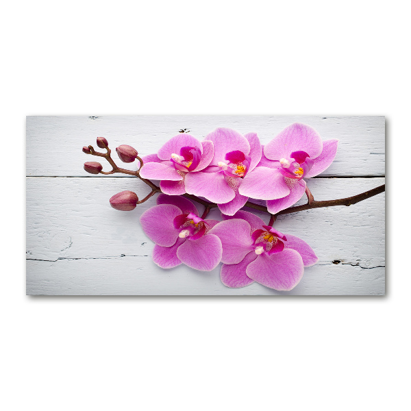 Wall art on glass Orchid on wood