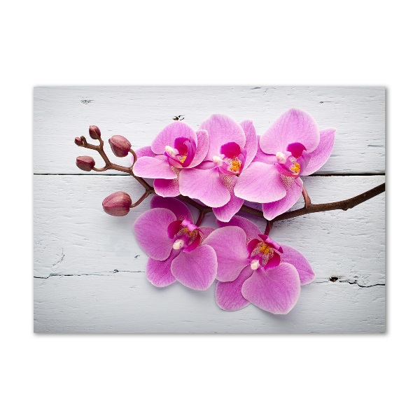 Wall art on glass Orchid on wood