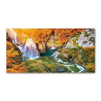 Wall art on glass Waterfall in autumn