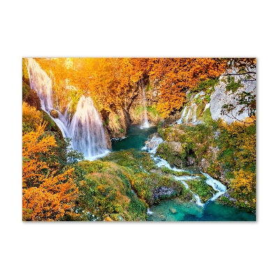 Wall art on glass Waterfall in autumn