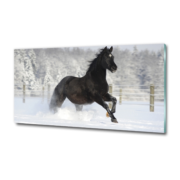 Wall art on glass Snow horse at the gallop