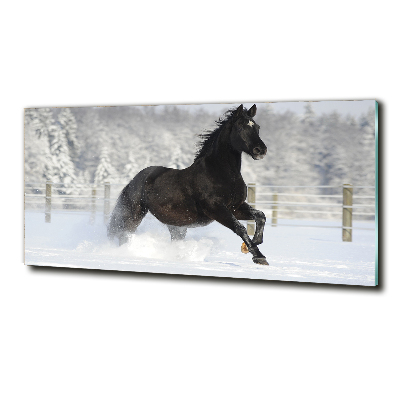 Wall art on glass Snow horse at the gallop