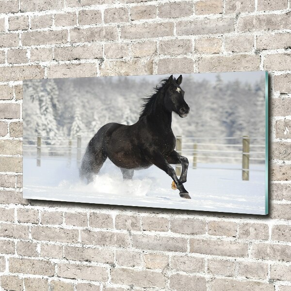 Wall art on glass Snow horse at the gallop