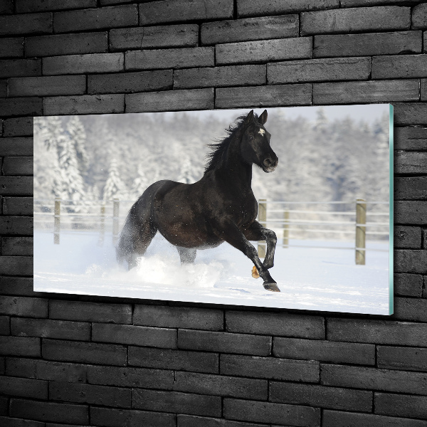 Wall art on glass Snow horse at the gallop