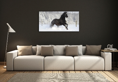 Wall art on glass Snow horse at the gallop