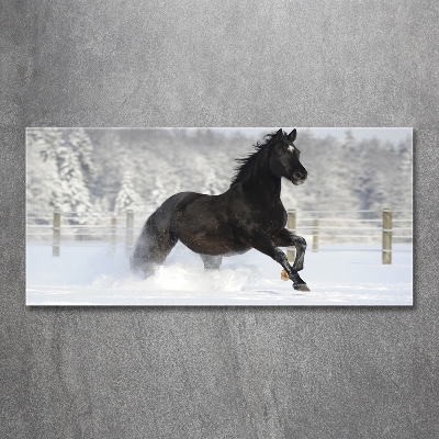 Wall art on glass Snow horse at the gallop