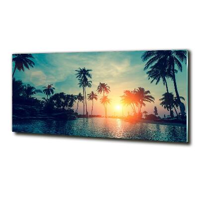 Glass wall art Sunset palm trees