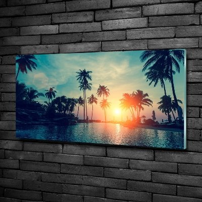 Glass wall art Sunset palm trees