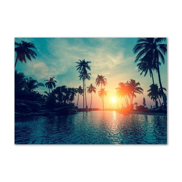 Glass wall art Sunset palm trees