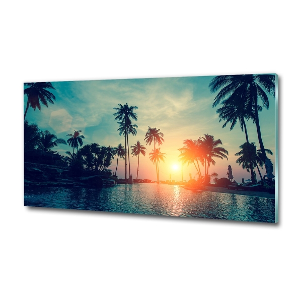 Glass wall art Sunset palm trees