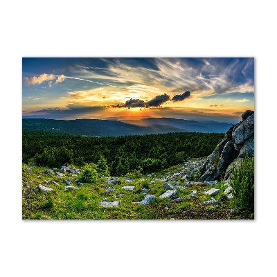 Wall art on glass Mountain panorama