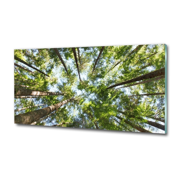 Crown of trees