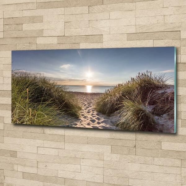 Glass wall art Coastal dunes