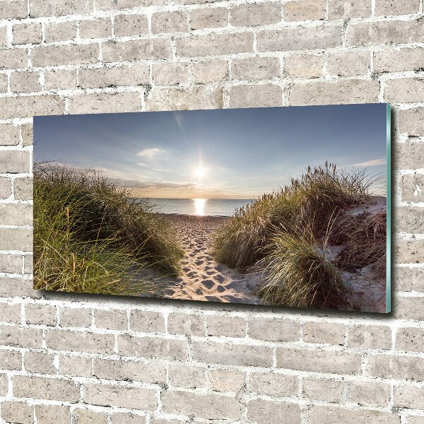 Glass wall art Coastal dunes