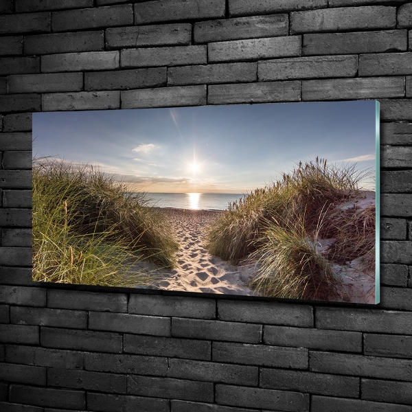 Glass wall art Coastal dunes