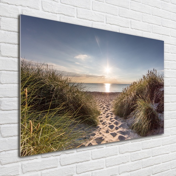 Glass wall art Coastal dunes