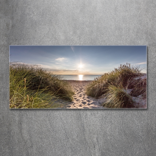 Glass wall art Coastal dunes