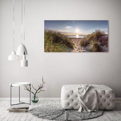 Glass wall art Coastal dunes