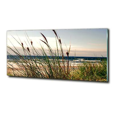 Wall art on glass Coastal dunes