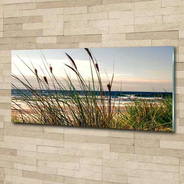 Wall art on glass Coastal dunes