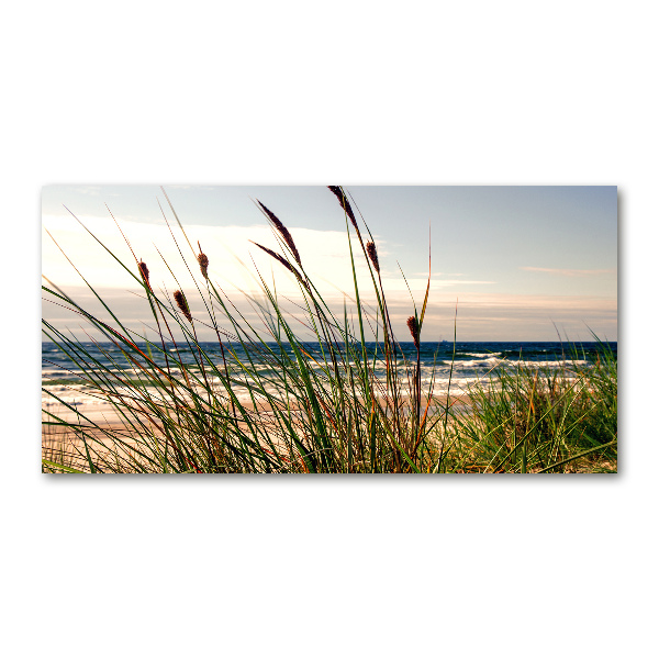 Wall art on glass Coastal dunes