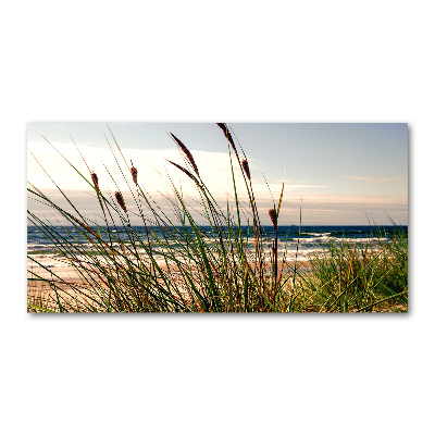 Wall art on glass Coastal dunes