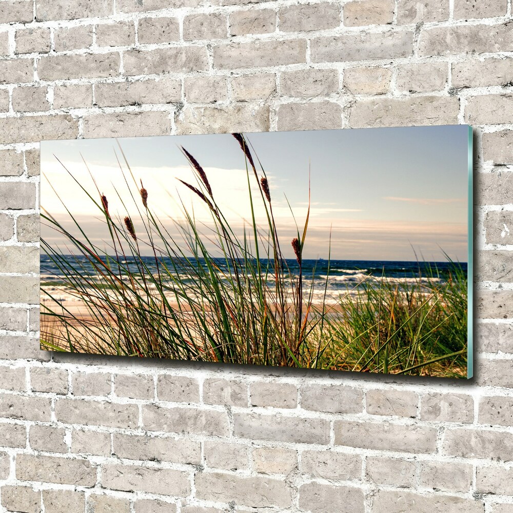 Wall art on glass Coastal dunes