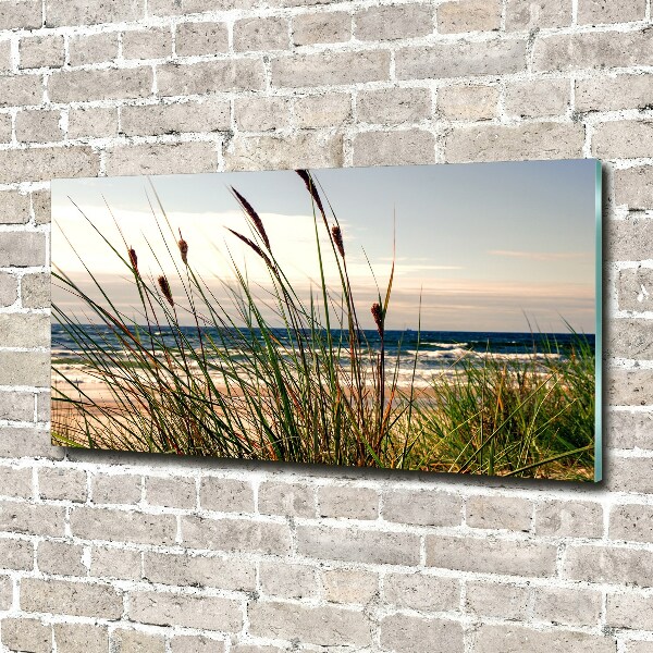 Wall art on glass Coastal dunes