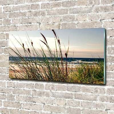 Wall art on glass Coastal dunes