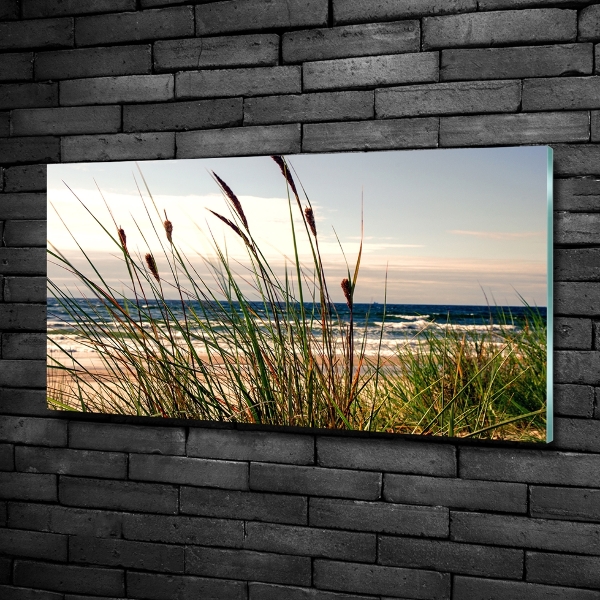 Wall art on glass Coastal dunes