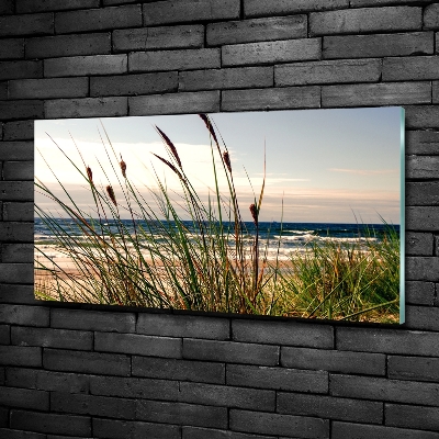 Wall art on glass Coastal dunes