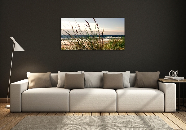 Wall art on glass Coastal dunes