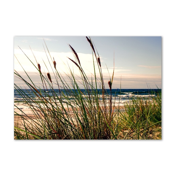 Wall art on glass Coastal dunes