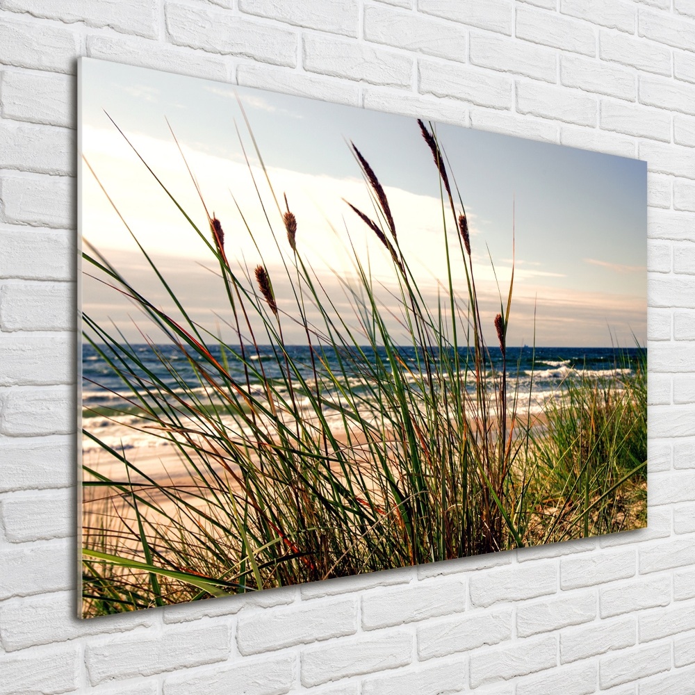 Wall art on glass Coastal dunes