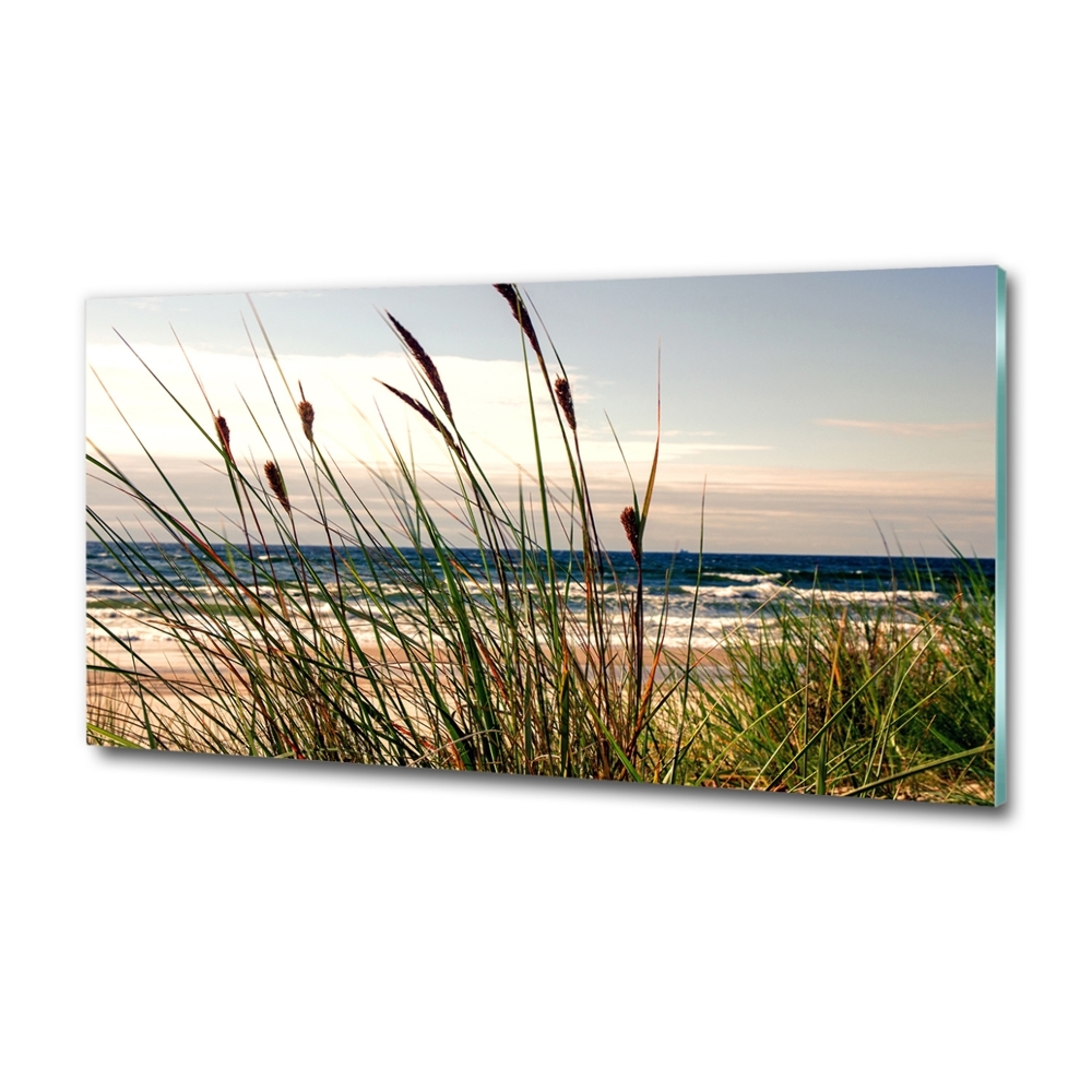 Wall art on glass Coastal dunes