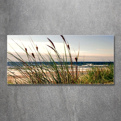 Wall art on glass Coastal dunes