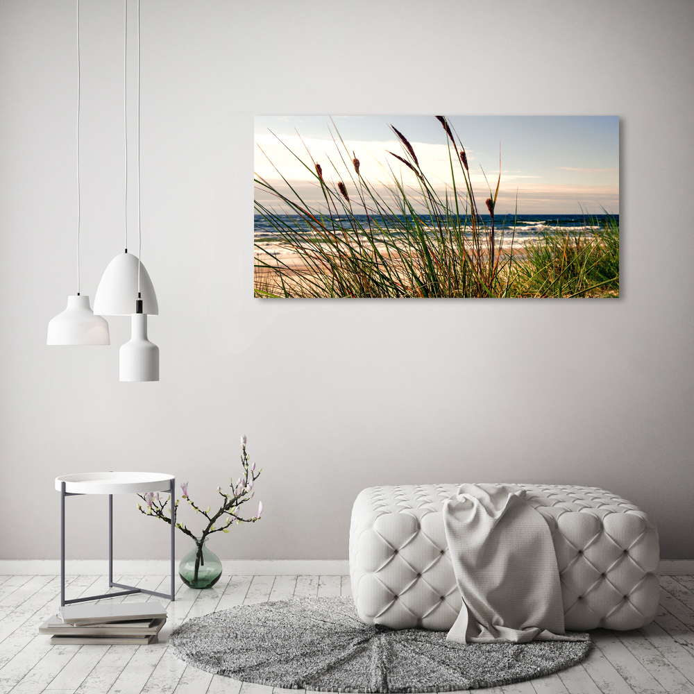 Wall art on glass Coastal dunes