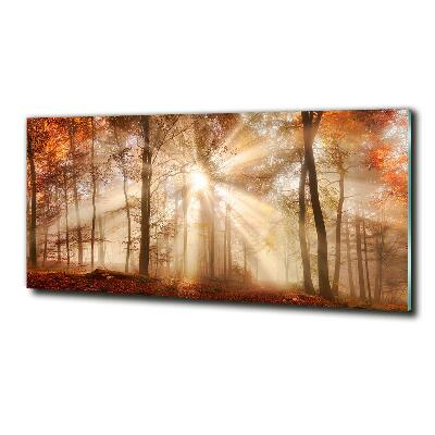 Wall art on glass Fog in the forest autumn