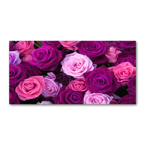 Wall art on glass Roses