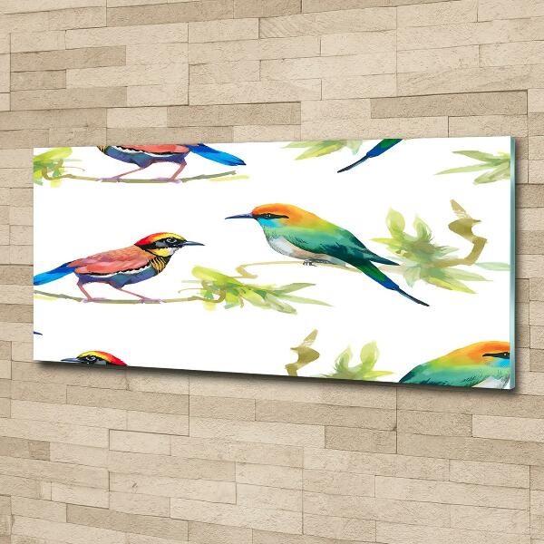 Glass art print Exotic birds